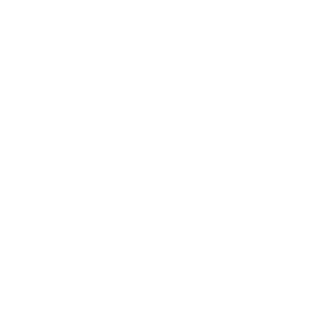 icon-consulenti